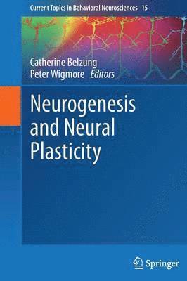 bokomslag Neurogenesis and Neural Plasticity