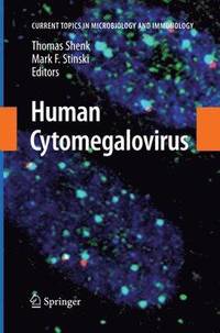 bokomslag Human Cytomegalovirus