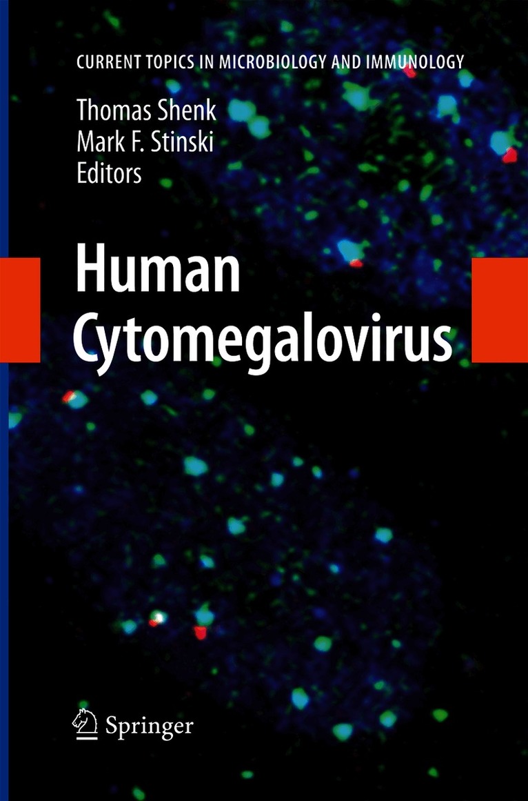 Human Cytomegalovirus