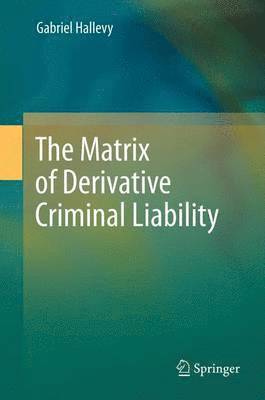 bokomslag The Matrix of Derivative Criminal Liability