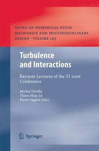 bokomslag Turbulence and Interactions