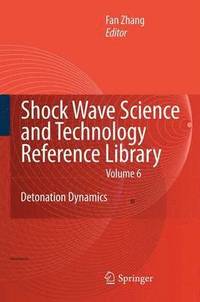 bokomslag Shock Waves Science and Technology Library, Vol. 6