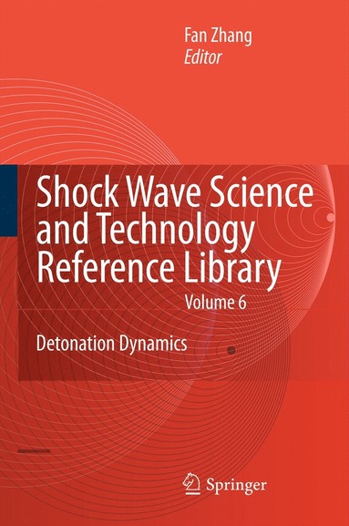 bokomslag Shock Waves Science and Technology Library, Vol. 6