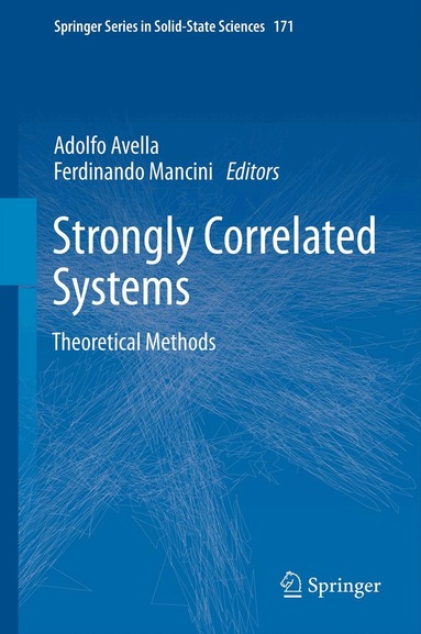 Adolfo Avella, Ferdinando Mancini - Strongly Correlated Systems, Häftad