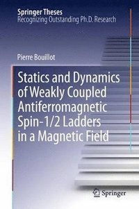 bokomslag Statics and Dynamics of Weakly Coupled Antiferromagnetic Spin-1/2 Ladders in a Magnetic Field