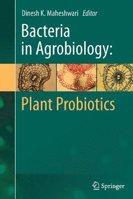 bokomslag Bacteria in Agrobiology: Plant Probiotics