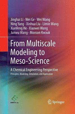 bokomslag From Multiscale Modeling to Meso-Science