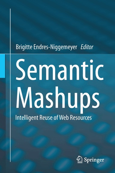 Brigitte Endres-Niggemeyer - Semantic Mashups, Häftad