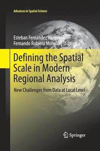 bokomslag Defining the Spatial Scale in Modern Regional Analysis