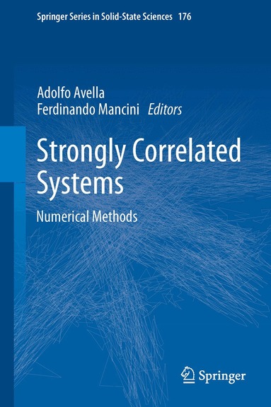 Adolfo Avella, Ferdinando Mancini - Strongly Correlated Systems, Häftad