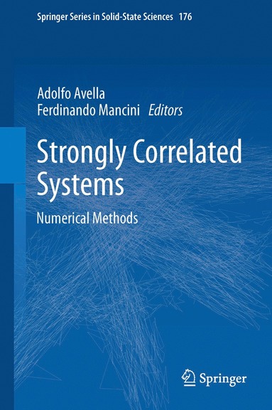 bokomslag Strongly Correlated Systems