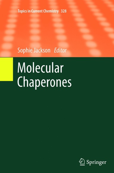 bokomslag Molecular Chaperones