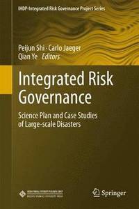 bokomslag Integrated Risk Governance