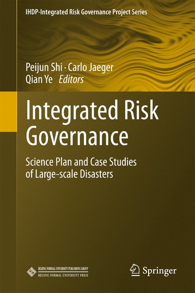 bokomslag Integrated Risk Governance