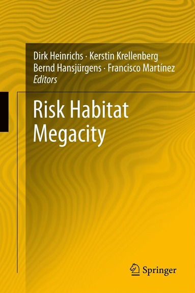 bokomslag Risk Habitat Megacity