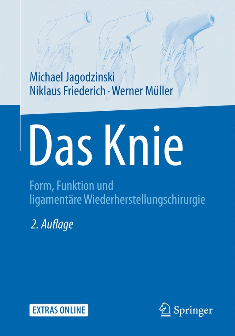 Das Knie 1