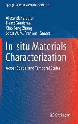 Alexander Ziegler, Heinz Graafsma, Xiao Feng Zhang, Joost W.M. Frenken, Joost W. M. Frenken - In-situ Materials Characterization, Inbunden