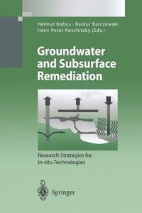 bokomslag Groundwater and Subsurface Remediation