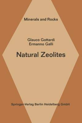 bokomslag Natural Zeolites