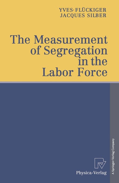 Yves Flückiger, Jacques Silber - Measurement of Segregation in the Labor Force, Häftad