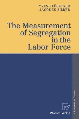 Yves Flückiger, Jacques Silber - Measurement of Segregation in the Labor Force, Häftad