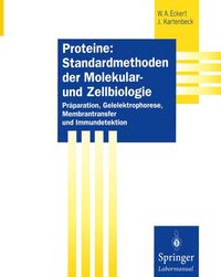 bokomslag Proteine: Standardmethoden der Molekular- und Zellbiologie