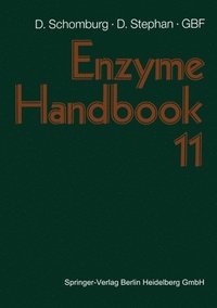 bokomslag Enzyme Handbook
