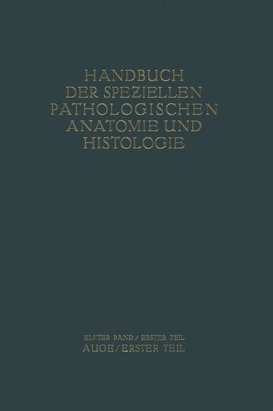 G. Abelsdorff, A. Elschnig, S. Ginsberg, R. Greeff, E. Hertel, E. v. Hippel, R. Kümmell, W. Löhlein, A. Peters, F. Schieck, E. Seidel, A. v. A?ily, K. Wessely - Auge, Häftad