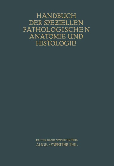 G. Abelsdorff, A. Elschnig, S. Ginsberg, R. Greeff, E. Hertel, E. v. Hippel, R. Kümmell, W. Löhlein, A. Peters, F. Schieck, E. Seidel, A. v. S?ily, K. Wessely - Auge, Häftad