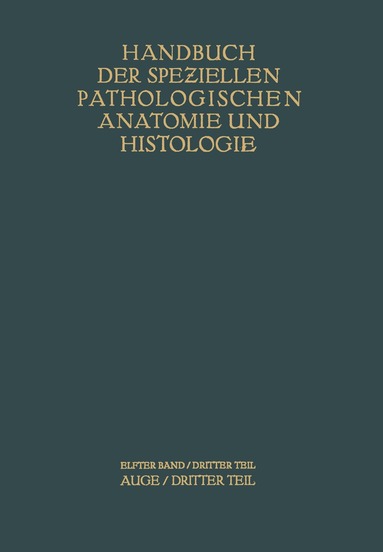 G. Abelsdorff, A. Elschnig, S. Ginsberg, R. Greeff, E. v. Hippel, R. Kümmell, E. Lobeck, W. Löhlein, K. Oberhoff, A. Peters, F. Schieck, E. Seidel, A. v. S?ily, K. Wessely - Auge, Häftad