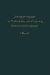 bokomslag Gleichgewichtsgase der Verbrennung und Vergasung