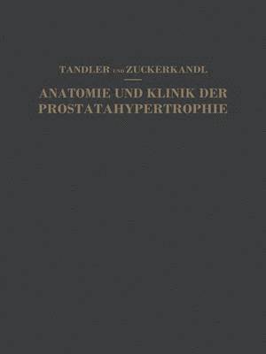 bokomslag Studien zur Anatomie und Klinik der Prostatahypertrophie