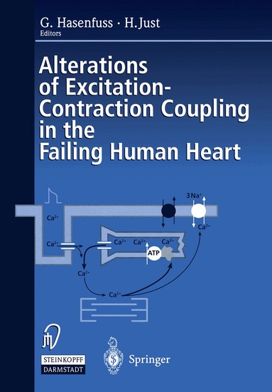 Gerd Hasenfuss, Hanjörg Just - Alterations of Excitation-Contraction Coupling in the Failing Human Heart, Häftad
