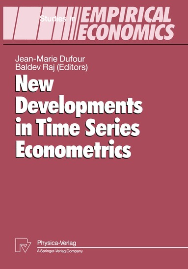Jean-Marie Dufour, Baldev Raj - New Developments in Time Series Econometrics, Häftad