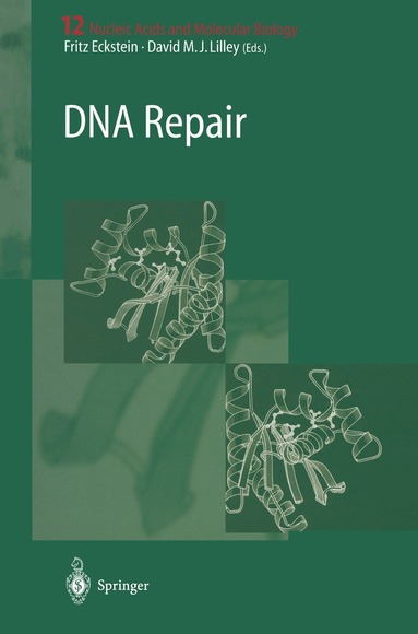 Fritz Eckstein, David M.J. Lilley - DNA Repair, Häftad