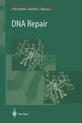 bokomslag DNA Repair