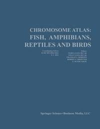 bokomslag Chromosome Atlas: Fish, Amphibians, Reptiles, and Birds