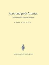 bokomslag Aorta und große Arterien