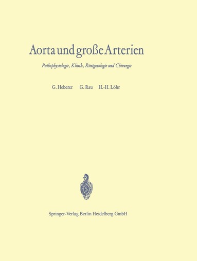 Georg Heberer, G. Rau, H.-H. Löhr - Aorta und große Arterien, Häftad