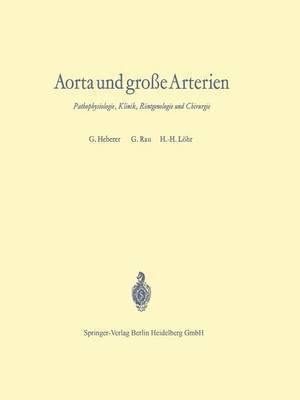 bokomslag Aorta und große Arterien