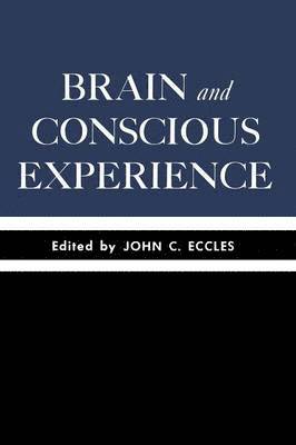 bokomslag Brain and Conscious Experience