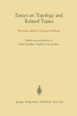 bokomslag Essays on Topology and Related Topics