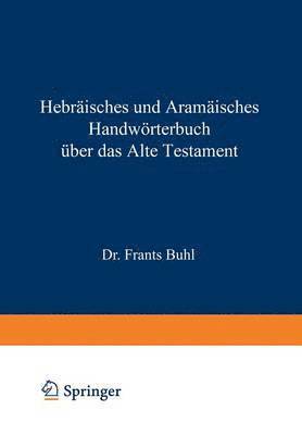 bokomslag Hebrisches und Aramisches Handwrterbuch ber das Alte Testament