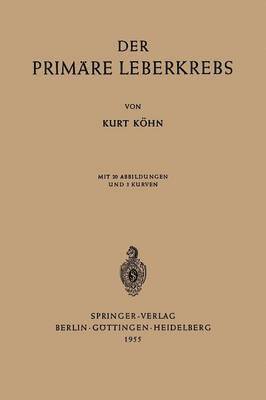 bokomslag Der Primäre Leberkrebs