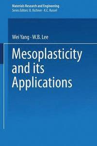 bokomslag Mesoplasticity and its Applications