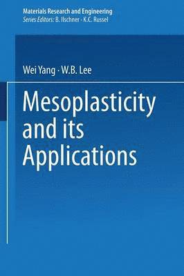bokomslag Mesoplasticity and its Applications