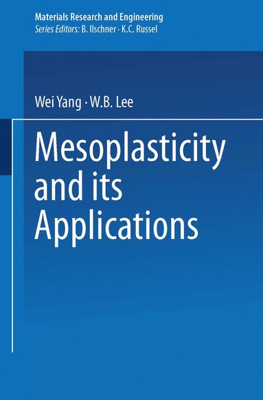 bokomslag Mesoplasticity and its Applications