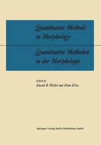 bokomslag Quantitative Methods in Morphology / Quantitative Methoden in der Morphologie