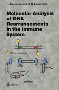 bokomslag Molecular Analysis of DNA Rearrangements in the Immune System