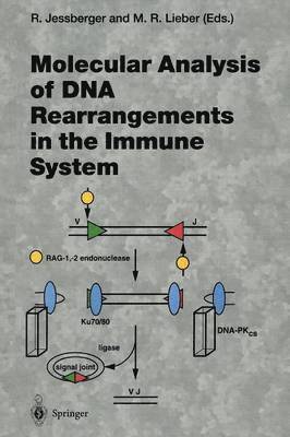 Rolf Jessberger, Michael R. Lieber - Molecular Analysis of DNA Rearrangements in the Immune System, Häftad